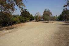 Enlarge photo 129