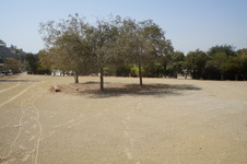 Enlarge photo 130