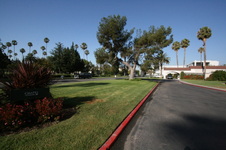 Enlarge photo 41