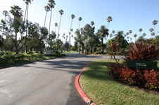 Enlarge photo 42