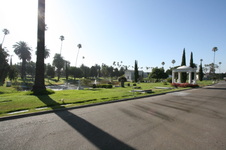 Enlarge photo 44