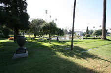 Enlarge photo 45