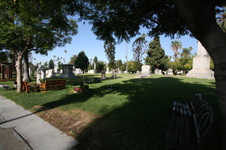 Enlarge photo 49
