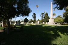 Enlarge photo 50