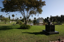 Enlarge photo 52
