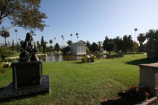 Enlarge photo 54