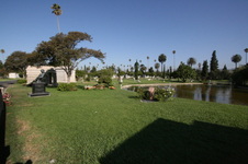 Enlarge photo 56