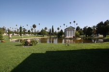 Enlarge photo 57