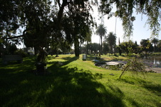 Enlarge photo 60