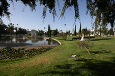 Enlarge photo 61