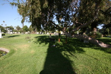 Enlarge photo 62