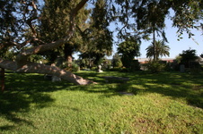 Enlarge photo 63