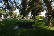 Enlarge photo 65