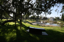 Enlarge photo 66