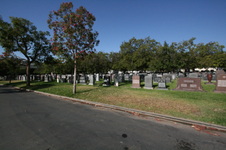 Enlarge photo 67