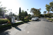 Enlarge photo 69