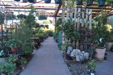 Enlarge photo 41