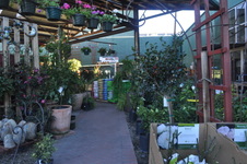Enlarge photo 42