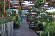 Enlarge photo 45