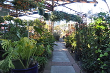 Enlarge photo 46