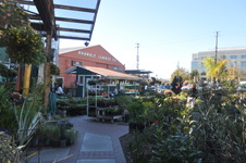 Enlarge photo 48
