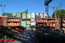 Enlarge photo 49