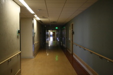 Enlarge photo 58
