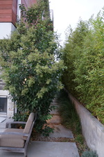 Enlarge photo 74