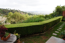 Enlarge photo 45