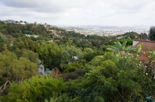 Enlarge photo 67