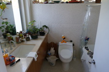Enlarge photo 47