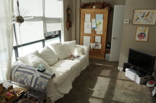 Enlarge photo 51