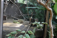 Enlarge photo 18