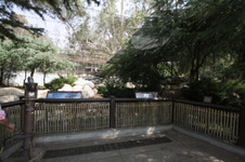 Enlarge photo 27