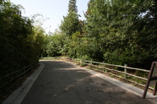 Enlarge photo 29