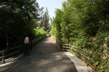 Enlarge photo 30