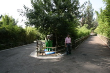 Enlarge photo 31