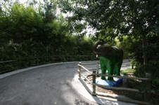 Enlarge photo 32