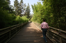 Enlarge photo 33