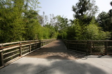 Enlarge photo 36