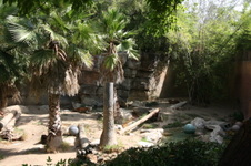 Enlarge photo 37
