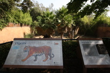 Enlarge photo 38