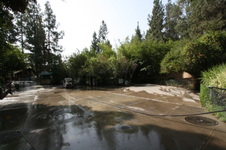 Enlarge photo 39