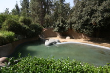 Enlarge photo 41