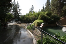 Enlarge photo 42