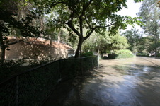 Enlarge photo 46