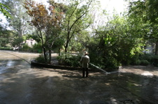 Enlarge photo 47