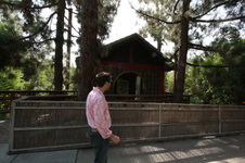 Enlarge photo 49