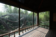Enlarge photo 51