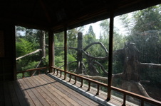 Enlarge photo 52